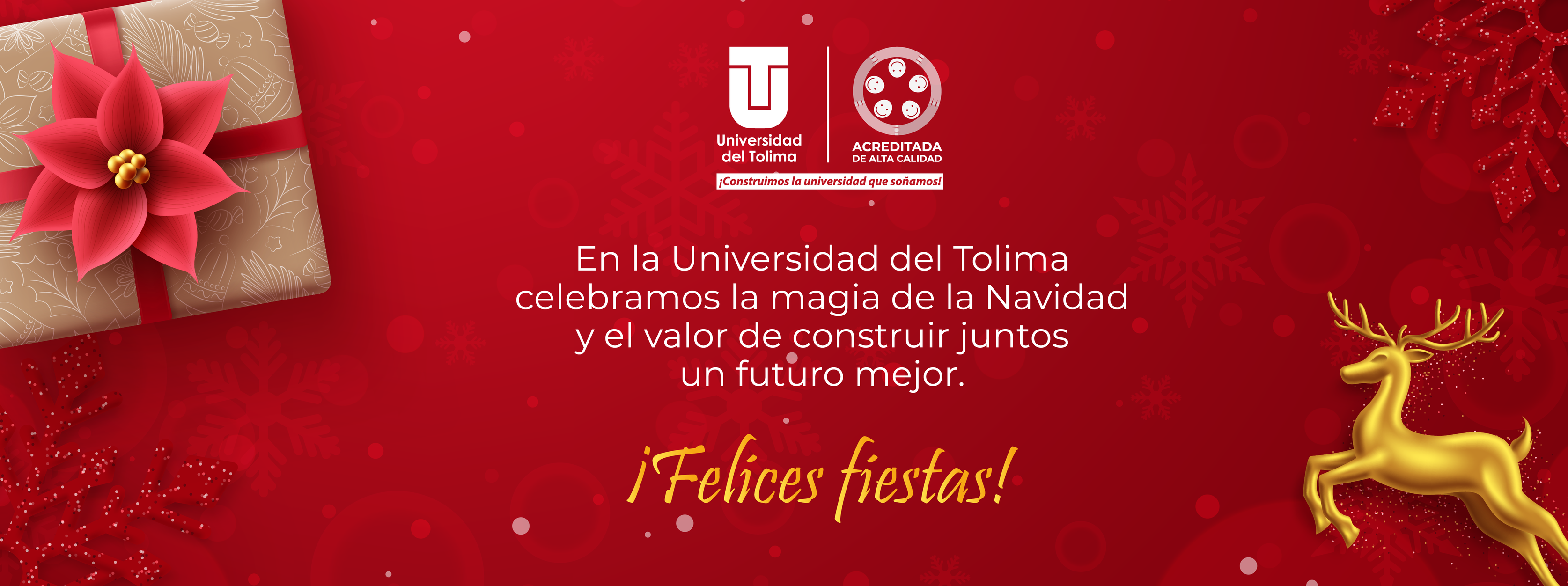 593459452_856273930280438_4638258706441150628_n